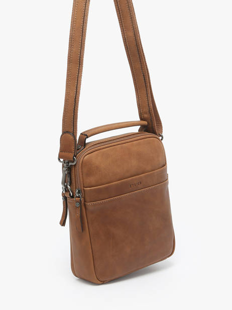 Leather Spider Crossbody Bag Etrier Brown spider ESPI732M other view 2